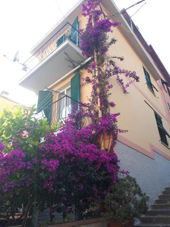 Da Rita Apartment San Terenzo Luaran gambar